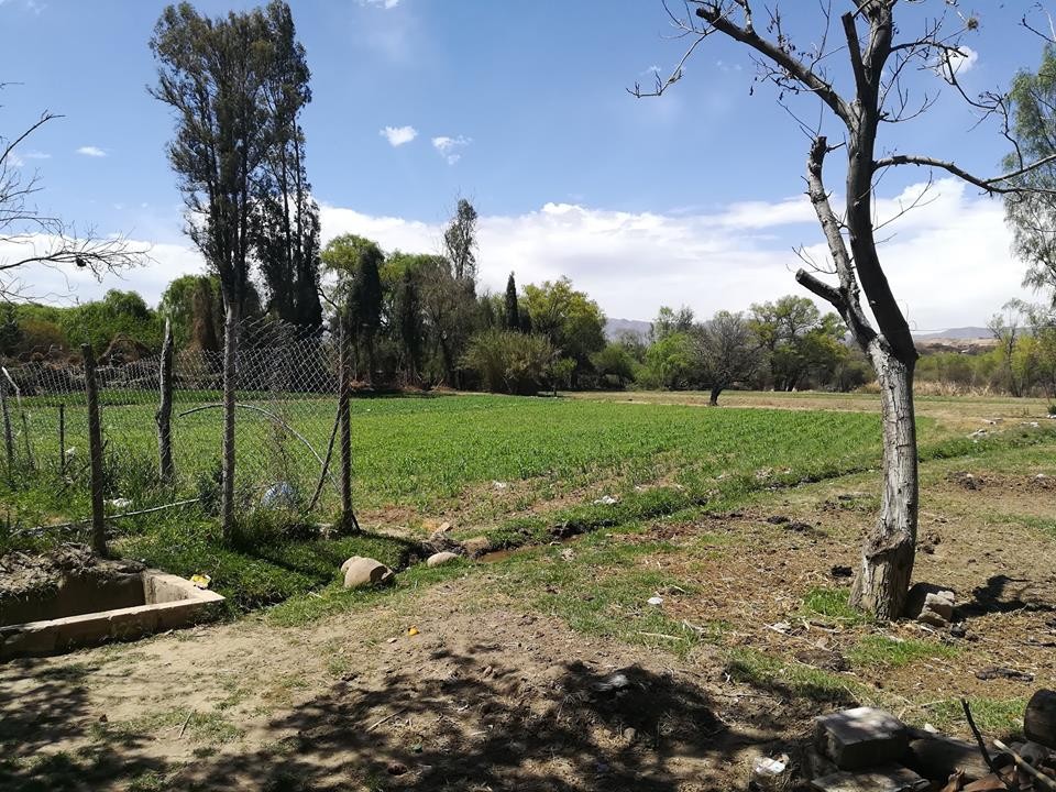 Compra, Venta, Alquiler y Anticretico de Inmuebles en